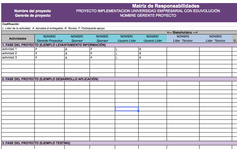 RAM matriz de responsabilidades formato template excel .xlsx