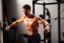 musculos-hipetrofia-fitness