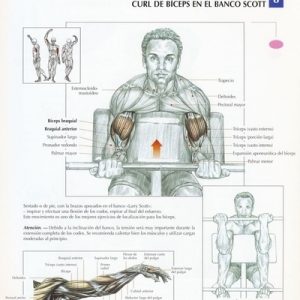 pesas_olimpicos_ejercicio_tendencia_salud