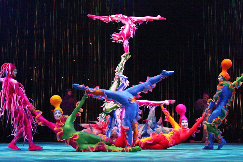 circo